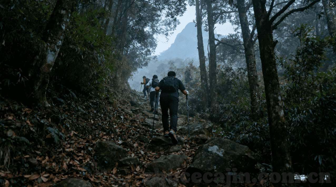 德州扑克长牌短牌区别-德州扑克长牌与短牌的区别，策略与技巧的深度剖析